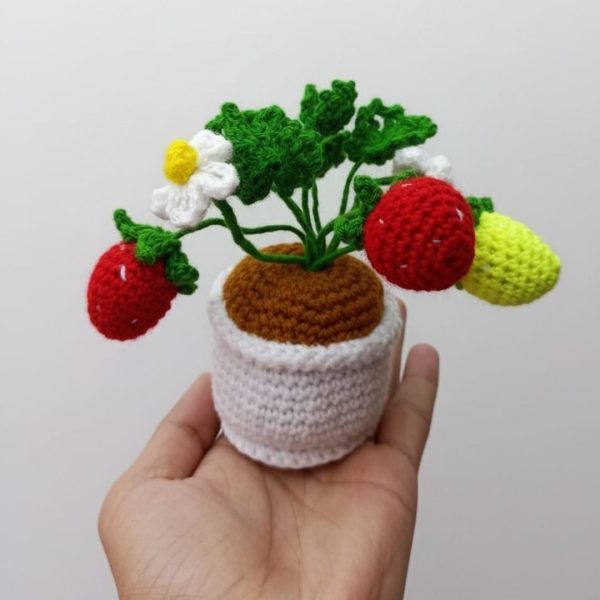 handcrafted-crochet-strawberry-plant-decorative-piece-6218362.jpg handcrafted-crochet-strawberry-plant-decorative-piece-6218362.jpg