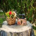 handcrafted-grass-basket-with-prominent-round-handles-6952429.jpg