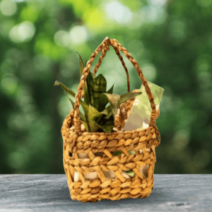 Multipurpose Basket for Elegant Presentation and Gifting