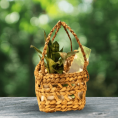 multipurpose-basket-for-elegant-presentation-and-gifting-7625693.png
